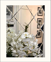 Lustro Glamour fazowane płytki lustrzane producent luster 1800mm x 2700mm faza 12mm